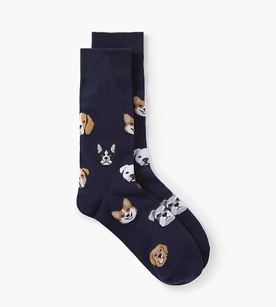 Chaussettes pour chiens