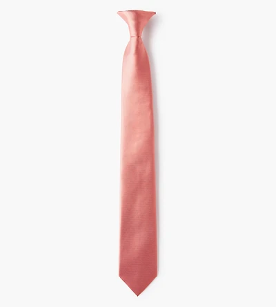 Cravate clipsable 25 cm pour enfant