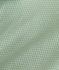 Wrinkle-Free Kelly Shirt