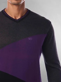 Men's v neck sweater