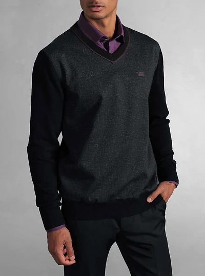 Men's v neck sweater