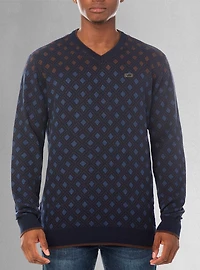 Men's v neck sweater