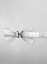 Nœud papillon pour homme