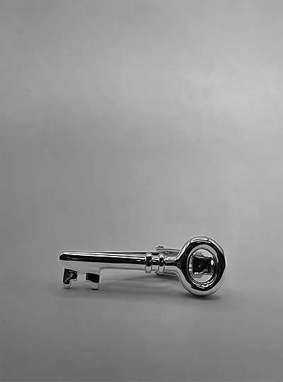 Pince à cravate pour homme