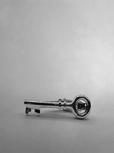 Men's tie clip
