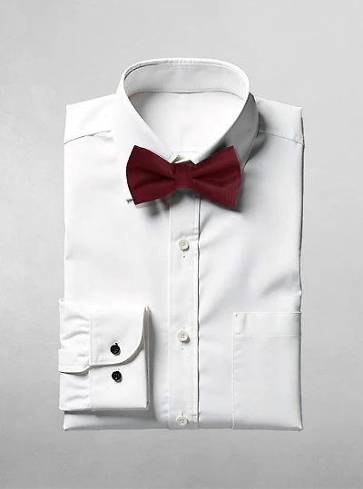 Men's bow tie
