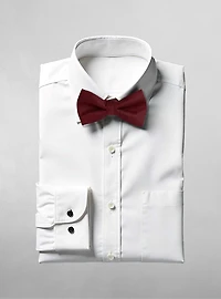Men's bow tie