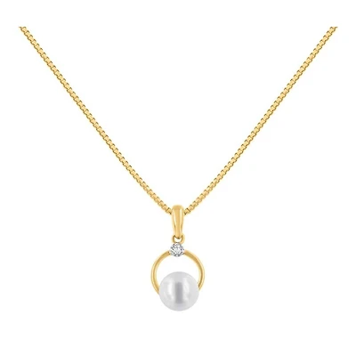 Pendentif 10 Kt Roger Roy P0425-Y