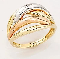 Bague 10 Kt Roger Roy R206057TC