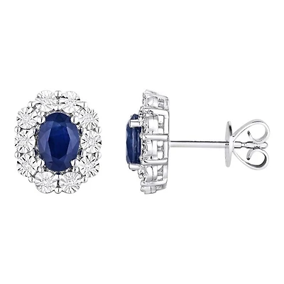 Earrings 10 Kt Roger Roy E309SA