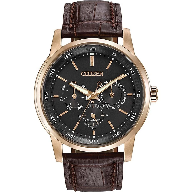 Montre Citizen Watch BU2013-08E
