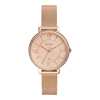 Montre Fossil Watch ES4628
