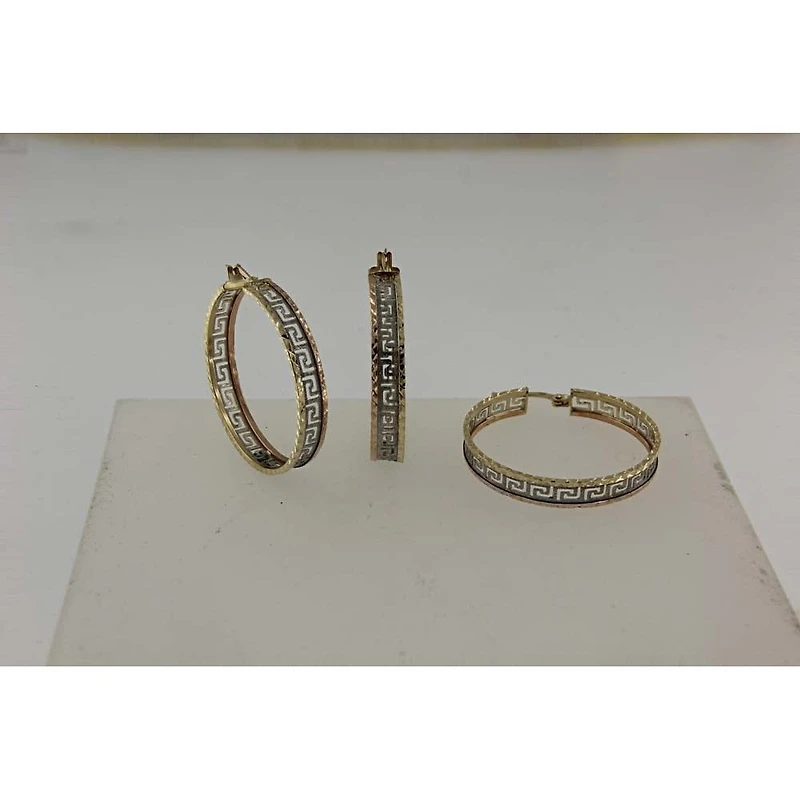 Boucles D’oreilles 10 Kt Roger Roy E5089593T