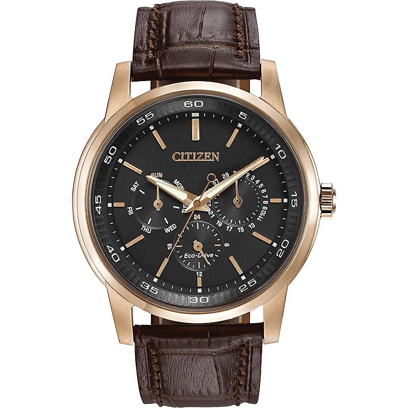 Montre Citizen Watch BU2013-08E