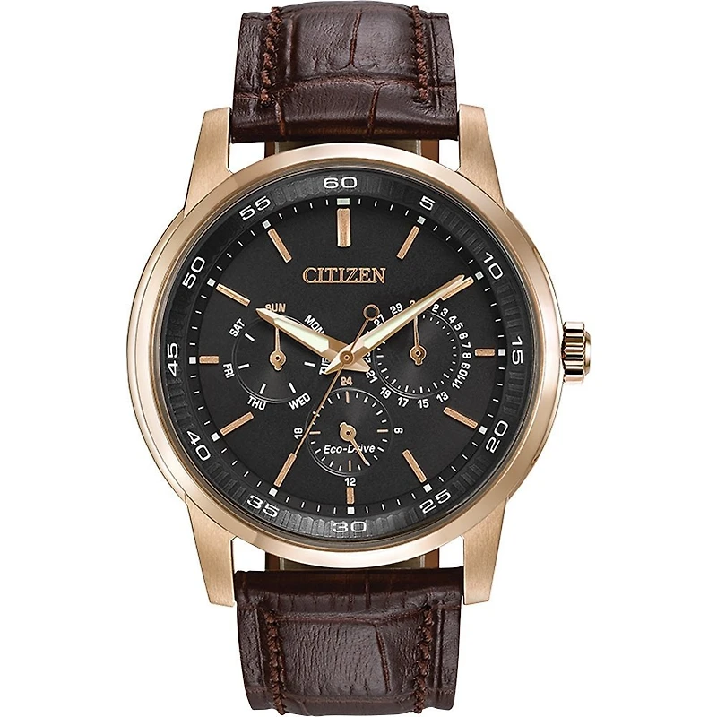 Montre Citizen Watch BU2013-08E