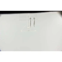 Boucles D’oreilles 14 Kt Roger Roy ER413699W14D