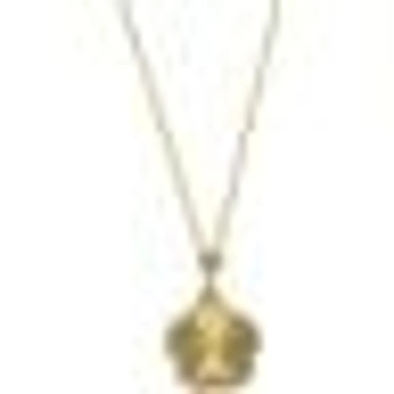 Pendentif 10 Kt Roger Roy P49-BRN1336