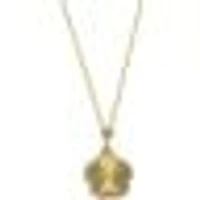 Pendentif 10 Kt Roger Roy P49-BRN1336