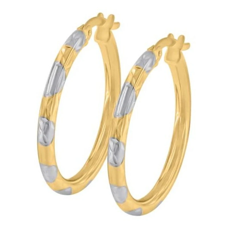 Boucles D’oreilles 10 Kt Roger Roy E-749627-103T