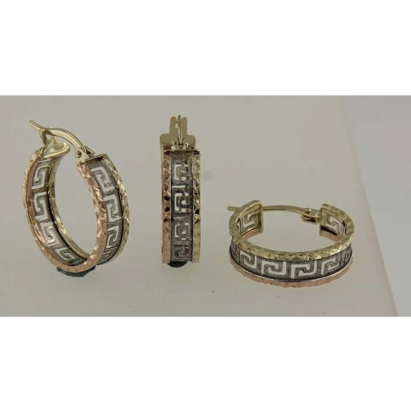 Boucles D’oreilles 10 Kt Roger Roy E5089373T