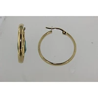 Earrings 10 Kt Roger Roy E0003X15-20SLY