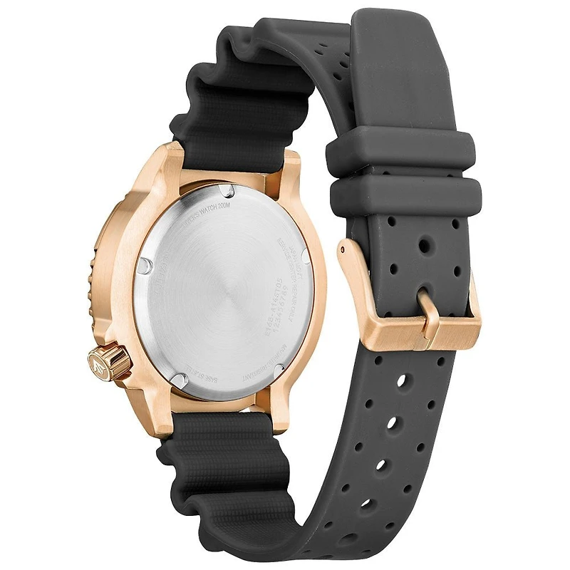 Montre Citizen Watch BN0163-00H