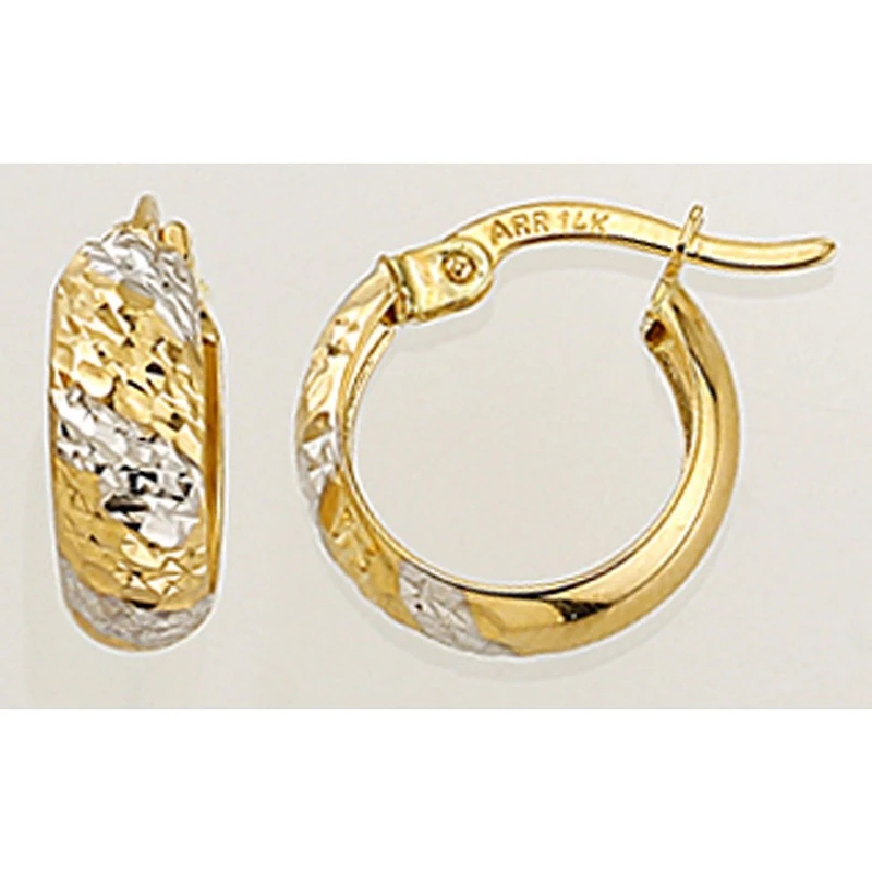 Earrings 10 Kt Roger Roy E213023YW