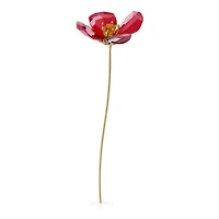 Figurines Swarovski 5646018