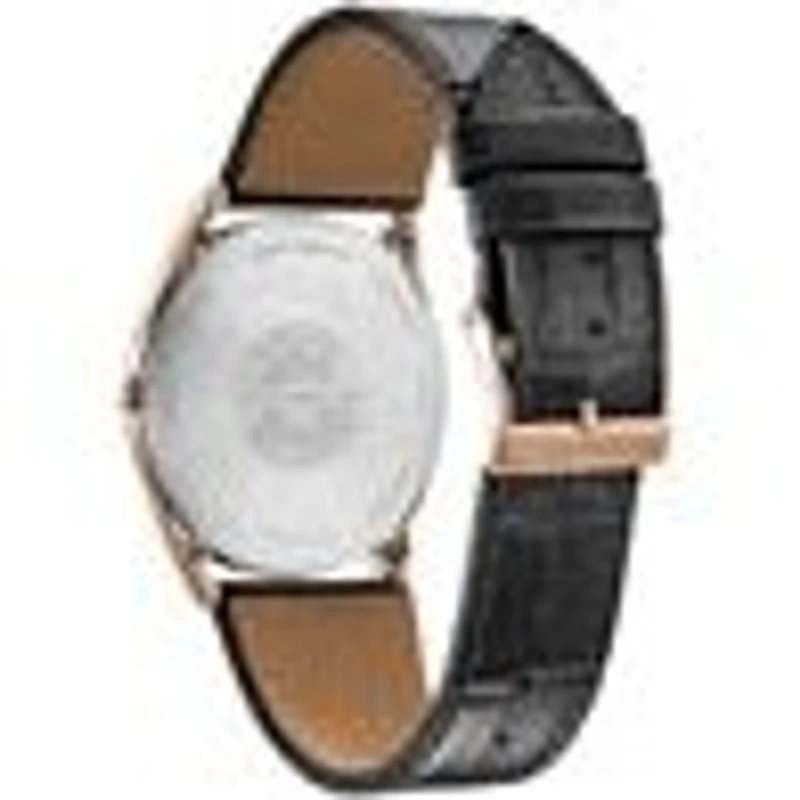 Montre Citizen Watch AR3073-06E