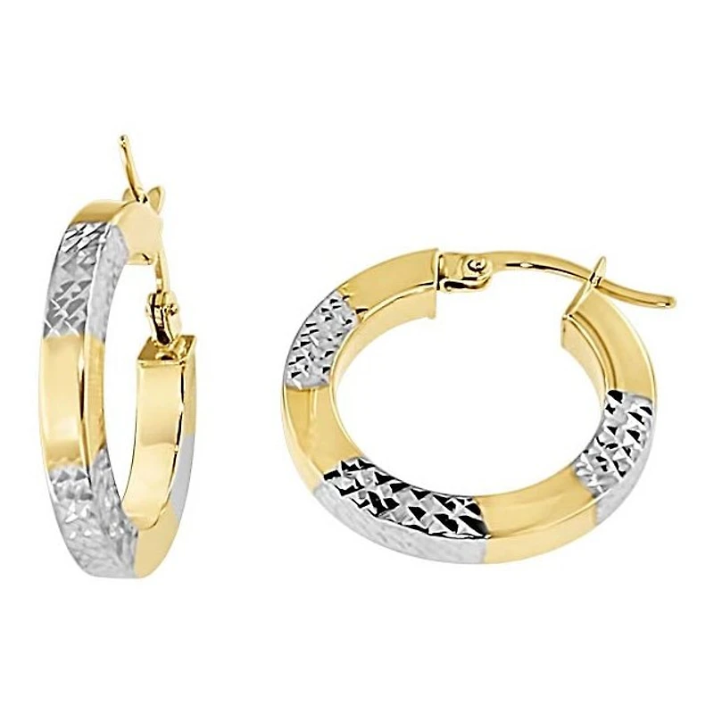 Earrings 10 Kt Roger Roy SQTE-310-2T