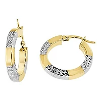 Earrings 10 Kt Roger Roy SQTE-310-2T