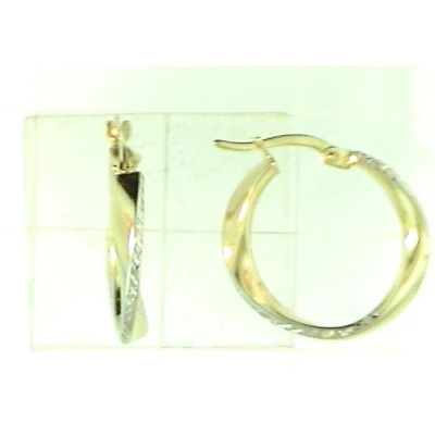Earrings 10 Kt Roger Roy E206405C