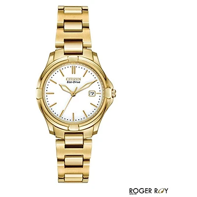 Montre Citizen Watch EW1962-53A