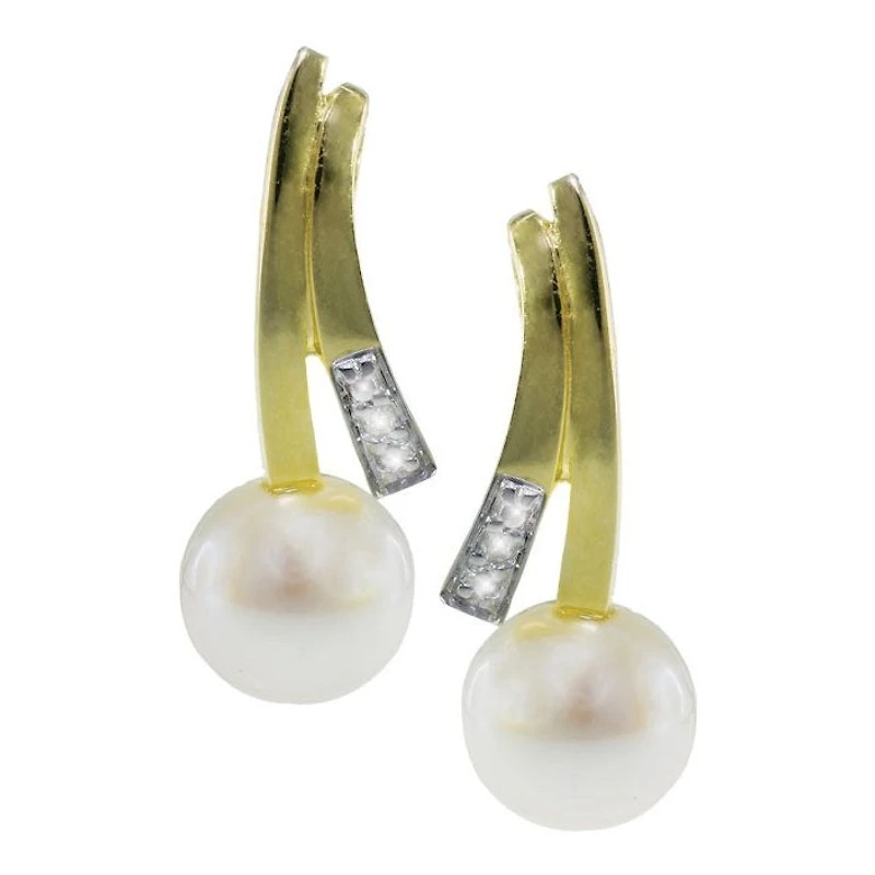 Earrings 10 Kt Roger Roy 244291