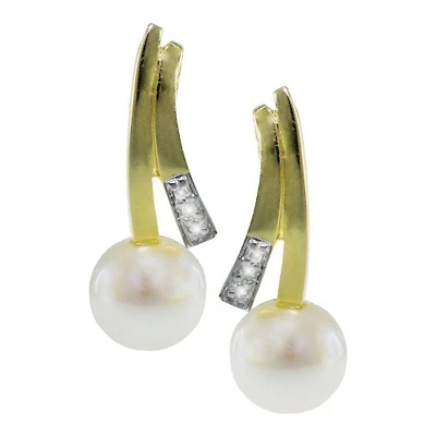 Earrings 10 Kt Roger Roy 244291
