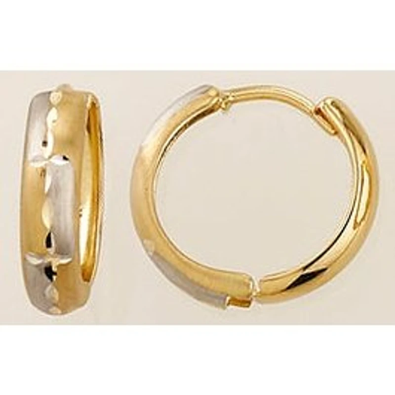 Earrings 10 Kt Roger Roy H2230021YW