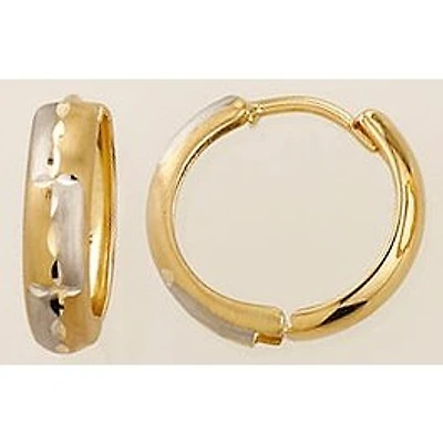 Earrings 10 Kt Roger Roy H2230021YW