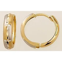 Earrings 10 Kt Roger Roy H2230021YW