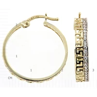 Boucles D’oreilles 10 Kt Roger Roy EDA160750-YW