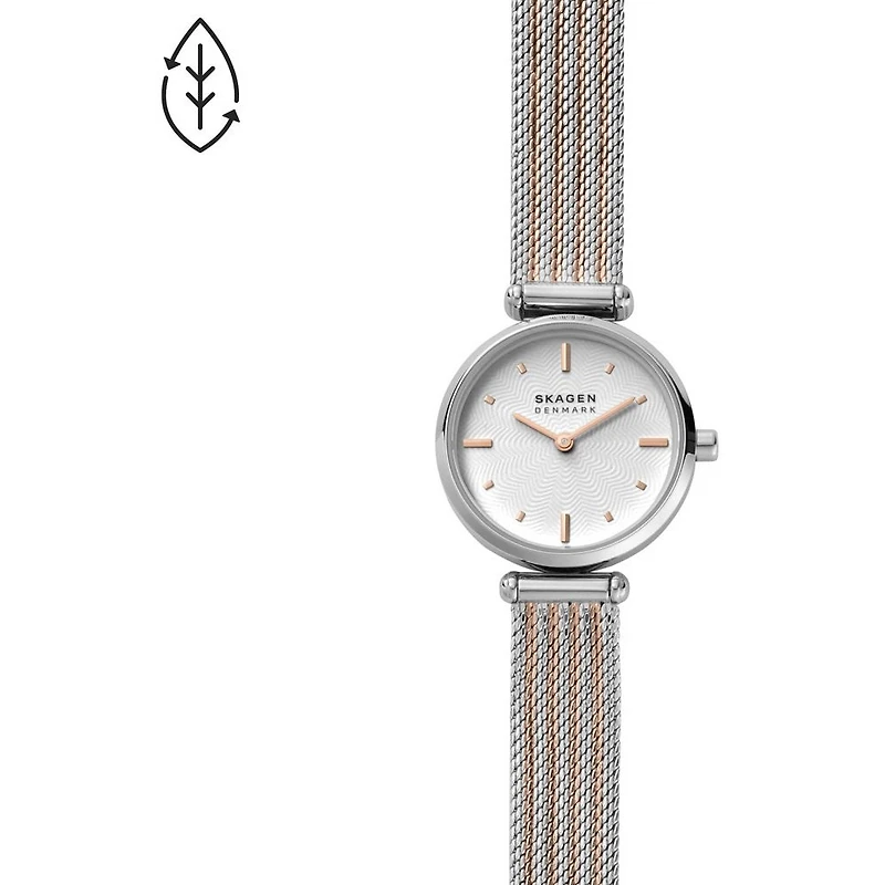 Montre Skagen Watch SKW2978