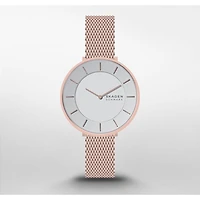 Montre Skagen Watch SKW3013
