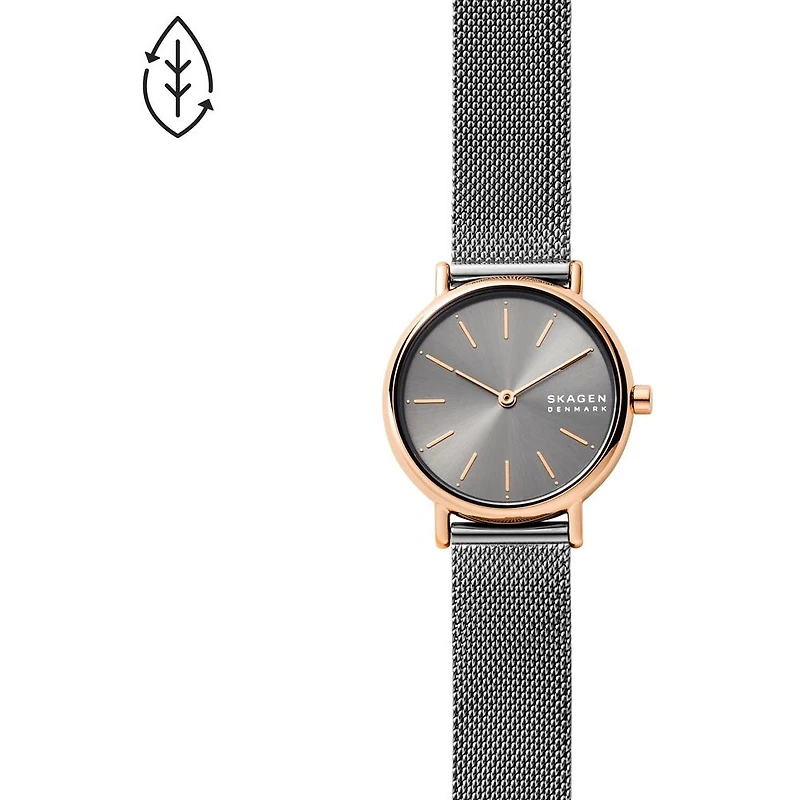 Montre Skagen Watch SKW2996