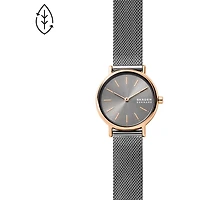 Montre Skagen Watch SKW2996