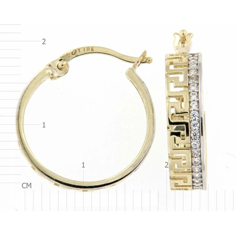 Boucles D’oreilles 10 Kt Roger Roy EDB160503YW