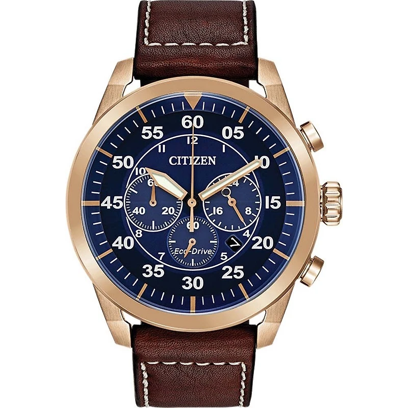 Montre Citizen Watch CA4213-18L