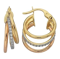 Earrings 10 Kt Roger Roy E396-TK079