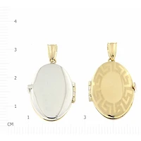 Pendentif 10 Kt Roger Roy LOC0065