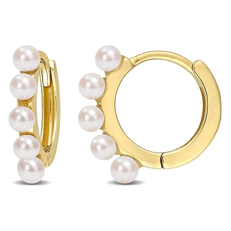 Boucles D’oreilles 10 Kt Roger Roy FC2B5X-2HX7