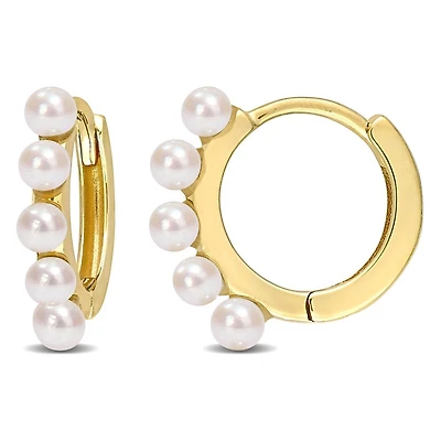 Boucles D’oreilles 10 Kt Roger Roy FC2B5X-2HX7