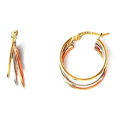 Boucles D’oreilles 10 Kt Roger Roy E502973TCD